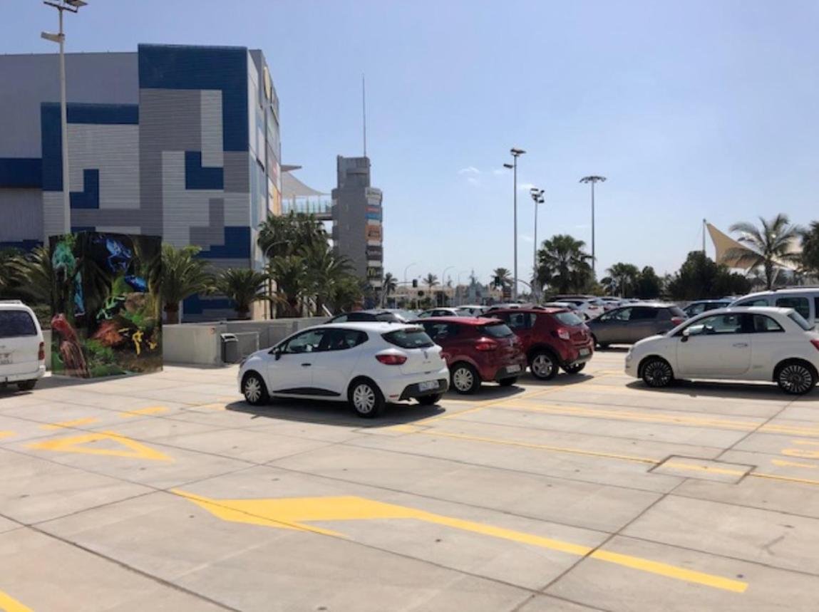 Ohannahome's Maroon Las Palmas de Gran Canaria